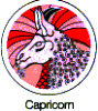Capricorn (Nam dương) - December 22 to January 20